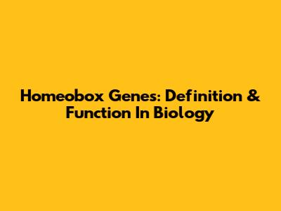 Homeobox Genes: Definition & Function In Biology